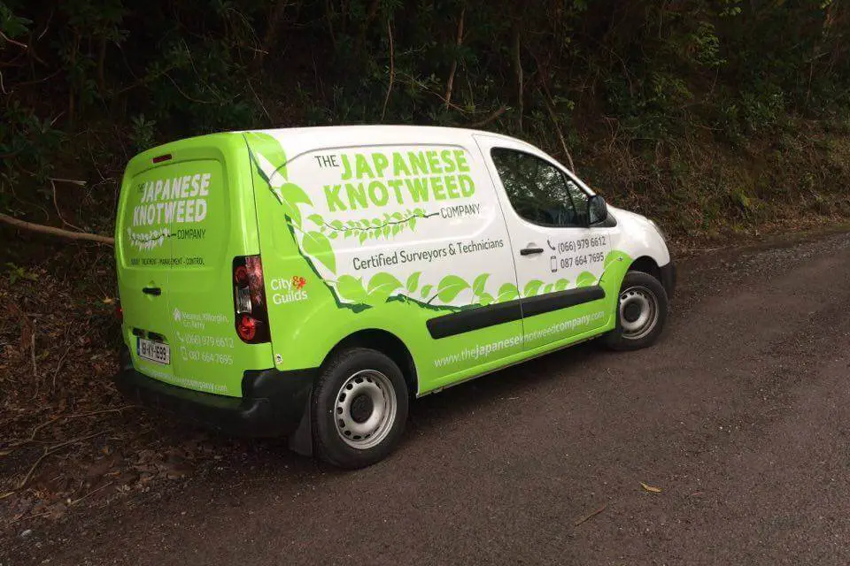 knotweed-vehicle-signage knotweed-vehicle-signage