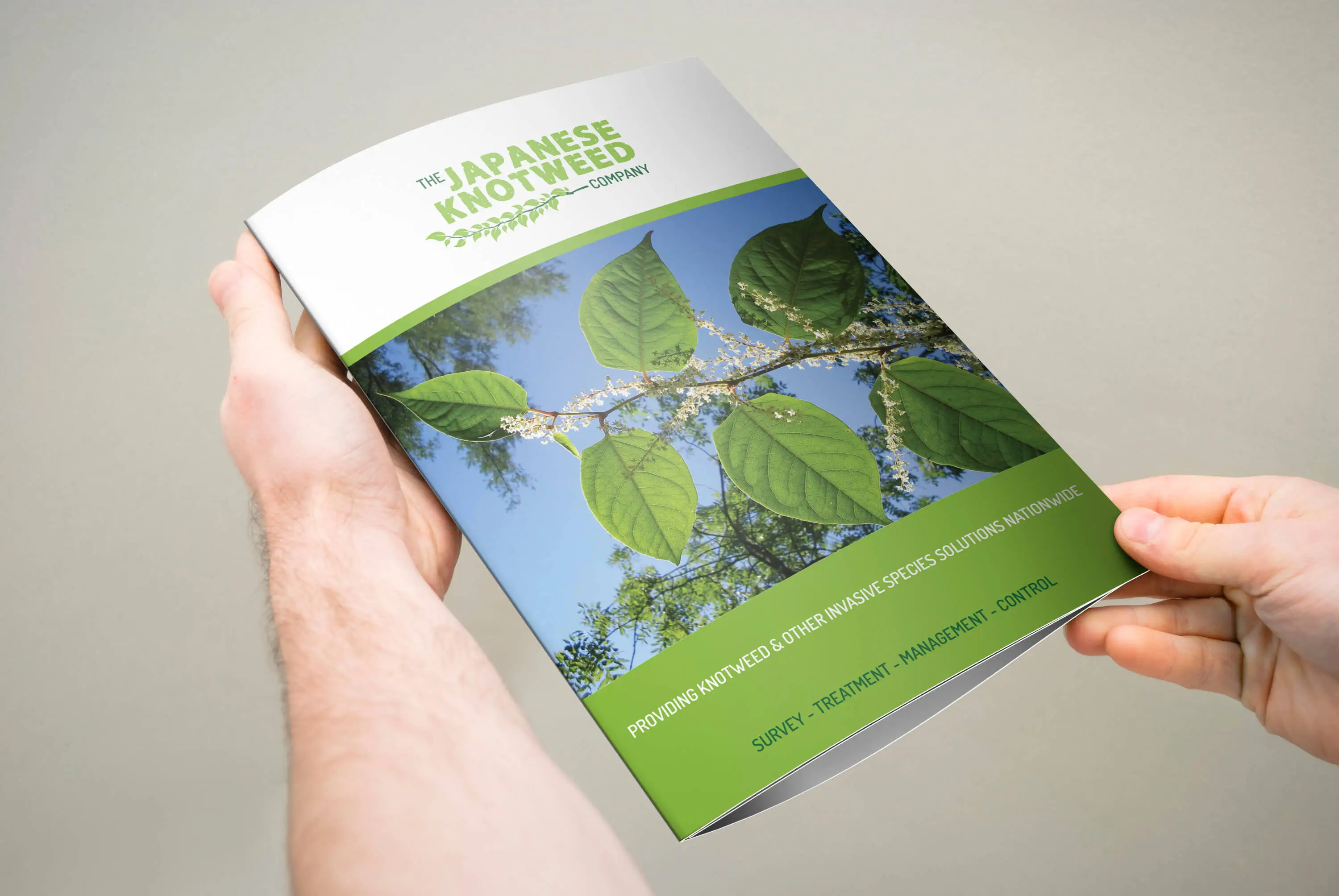 knotweed_brochure1 knotweed_brochure1