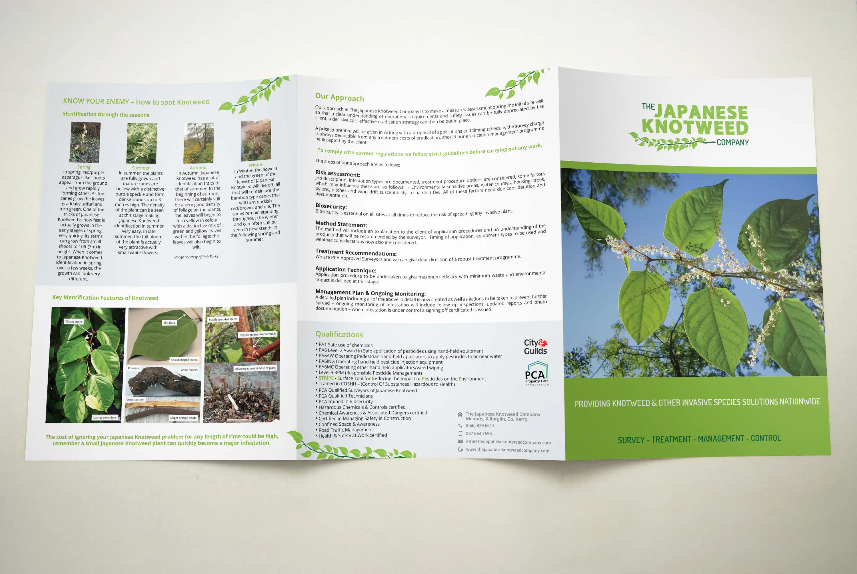 knotweed_brochure4 knotweed_brochure4