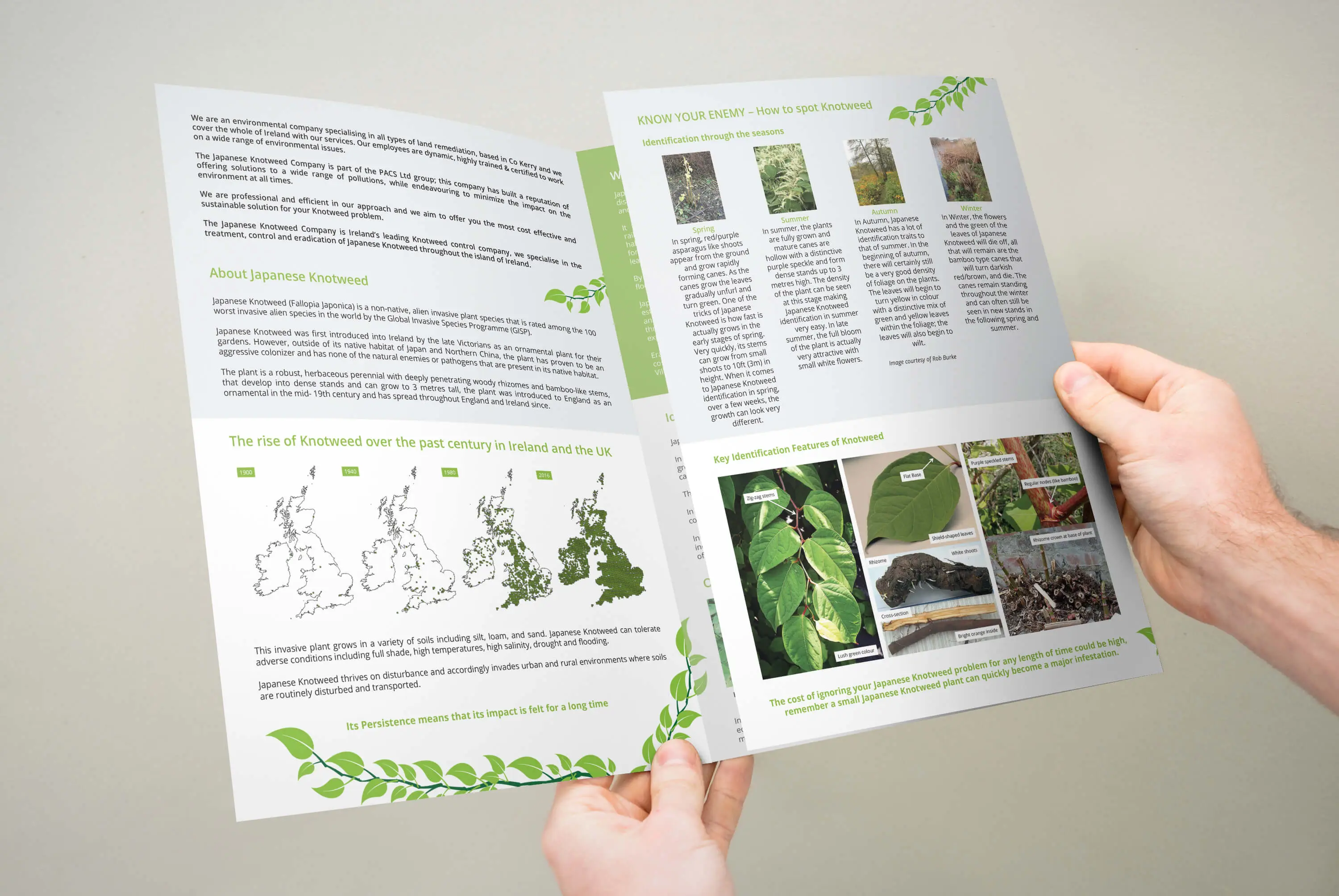 knotweed_brochure5 knotweed_brochure5