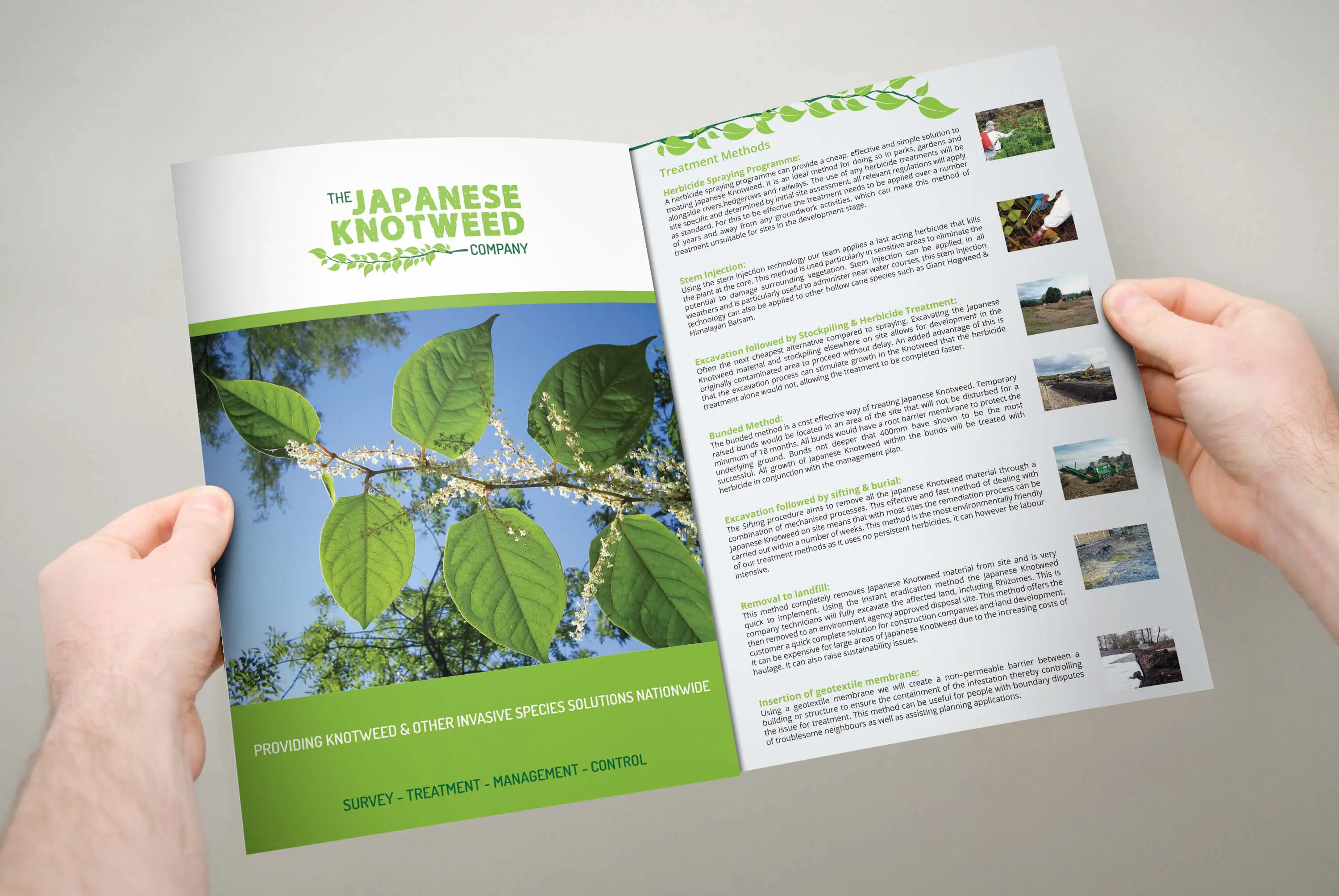 knotweed_brochure6 knotweed_brochure6