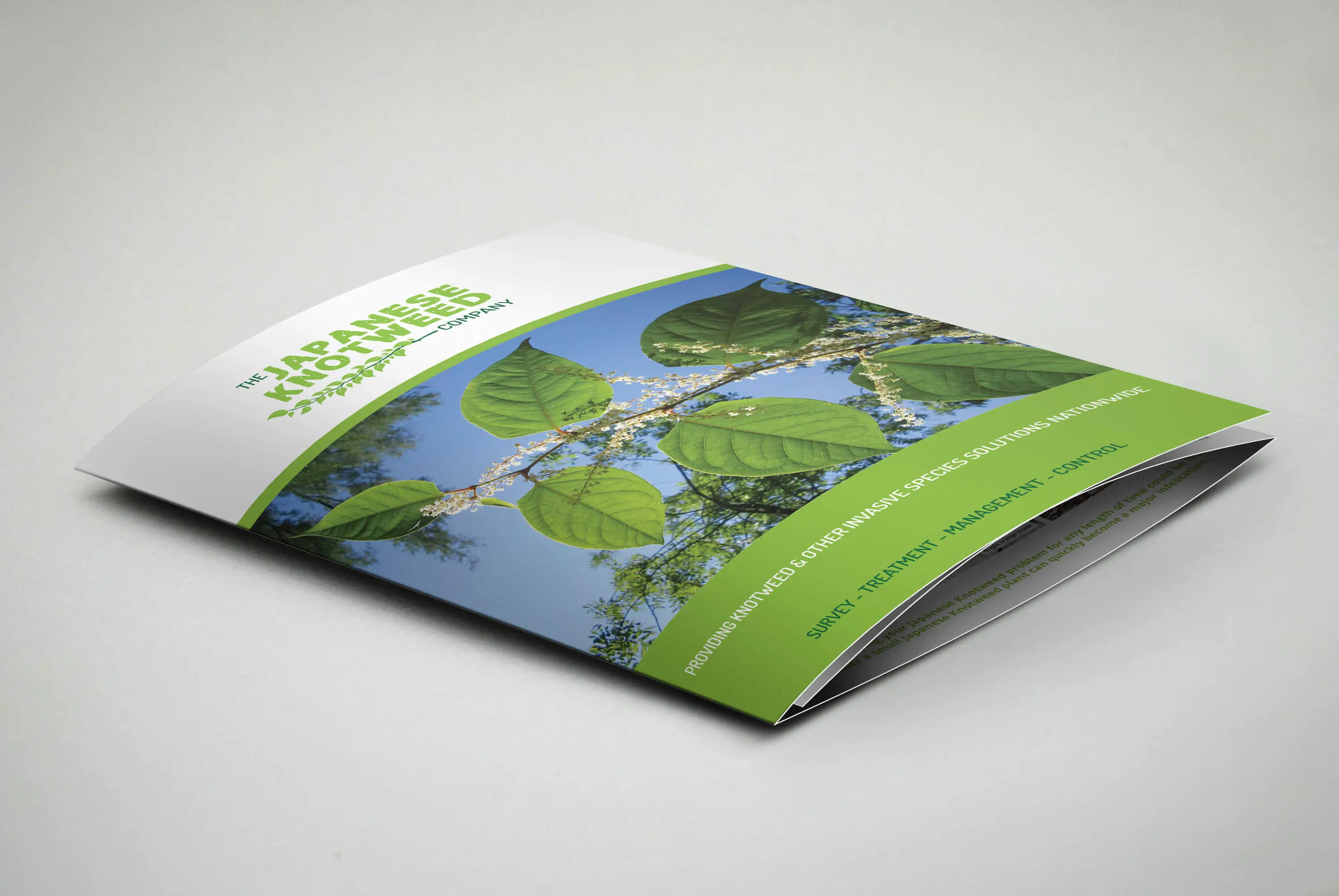 knotweed_brochure7 knotweed_brochure7