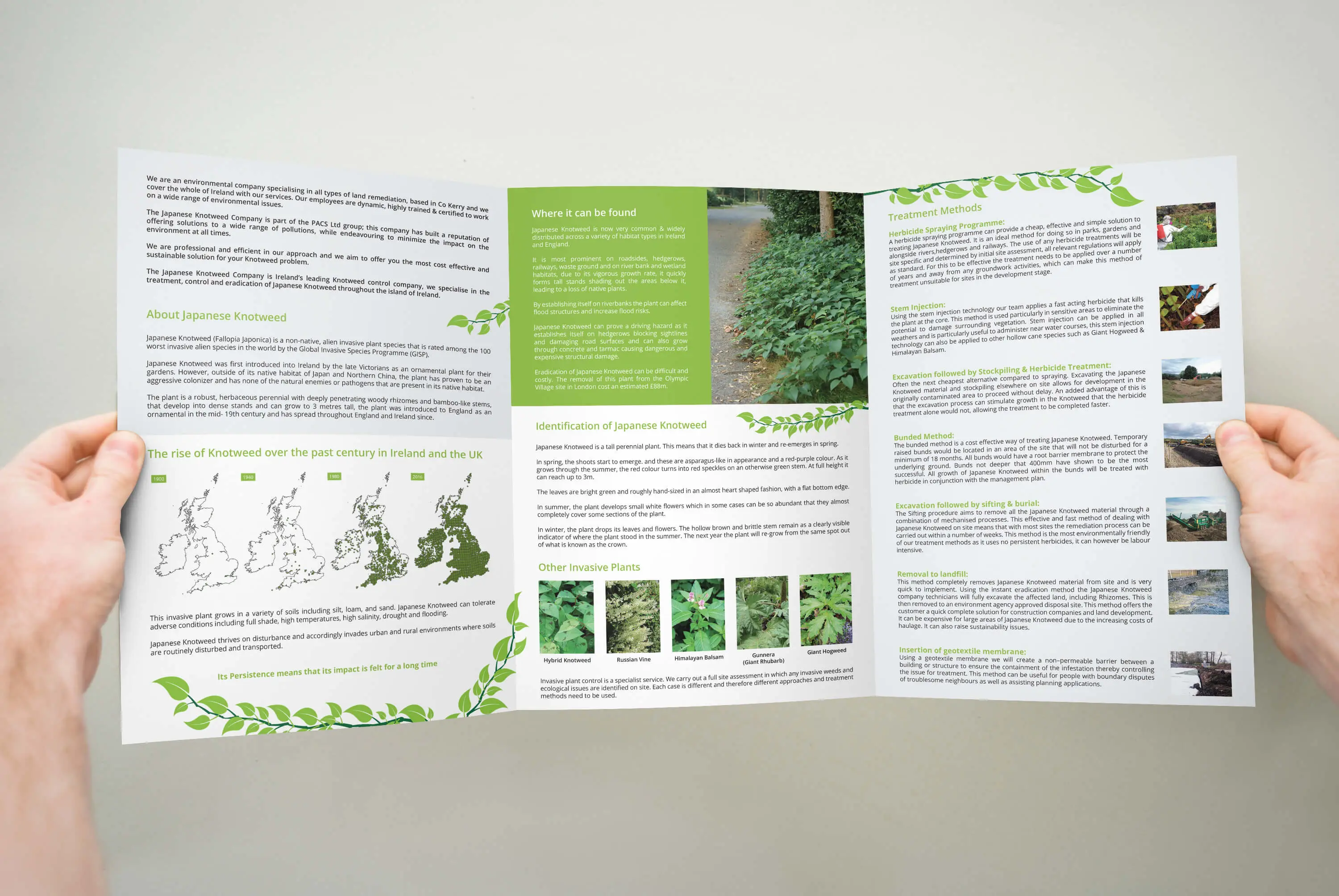 knotweed_brochure8 knotweed_brochure8