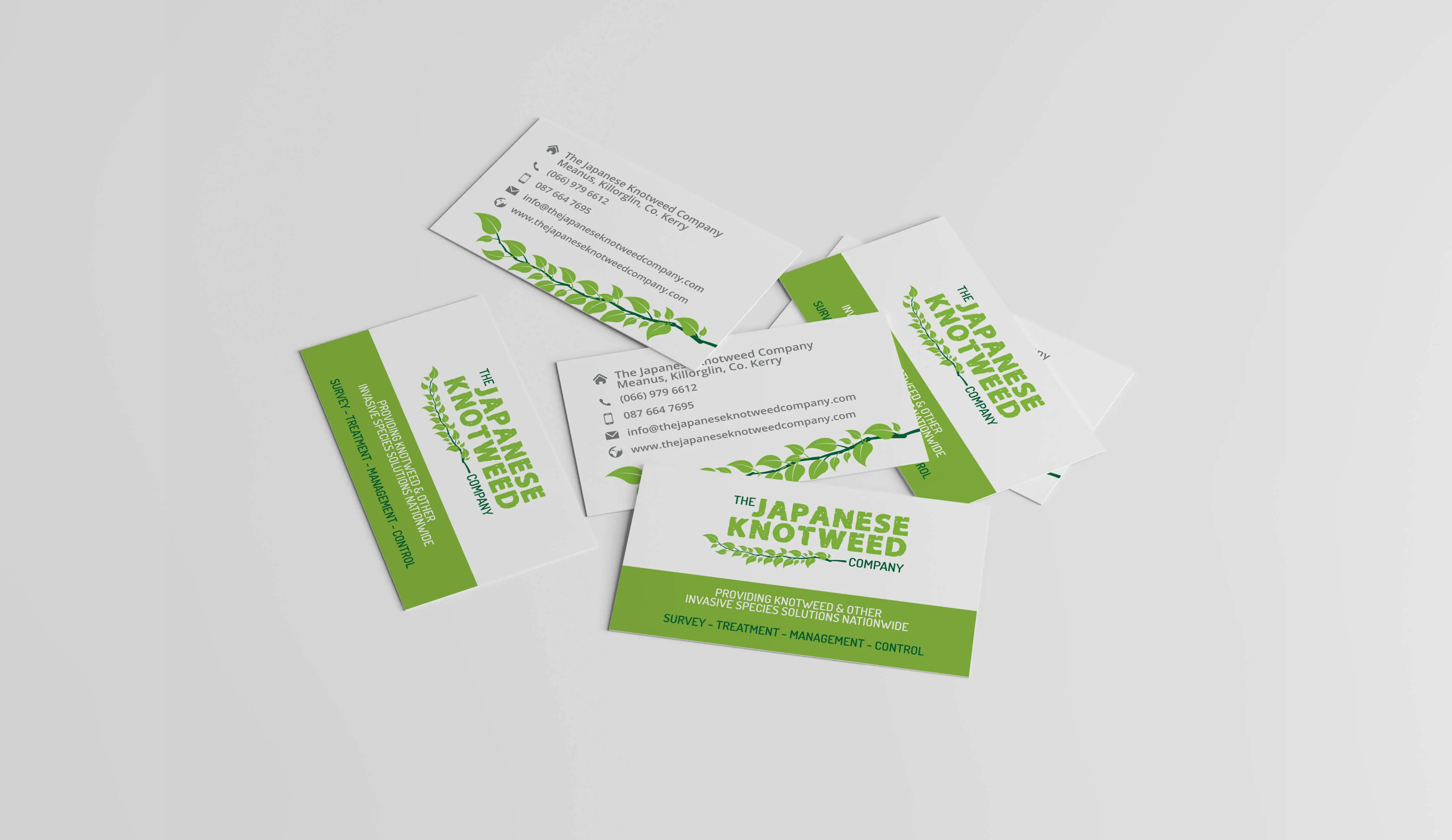 knotweed_businesscards knotweed_businesscards