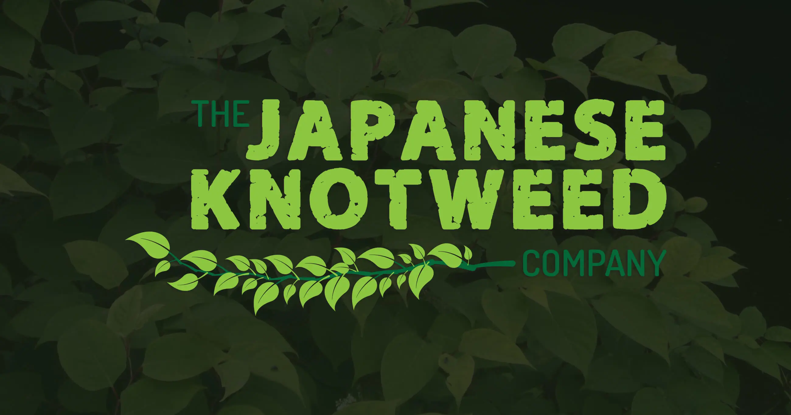 knotweed_logo knotweed_logo